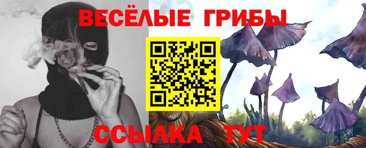 Псилоцибиновые грибы Magic Shrooms Можайск